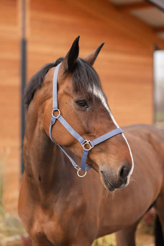Horze Rose Tonique Halter Grisaille