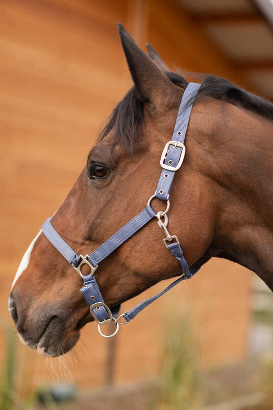 Horze Rose Tonique Halter Grisaille