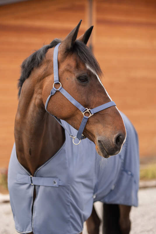 Horze Rose Tonique Halter Grisaille