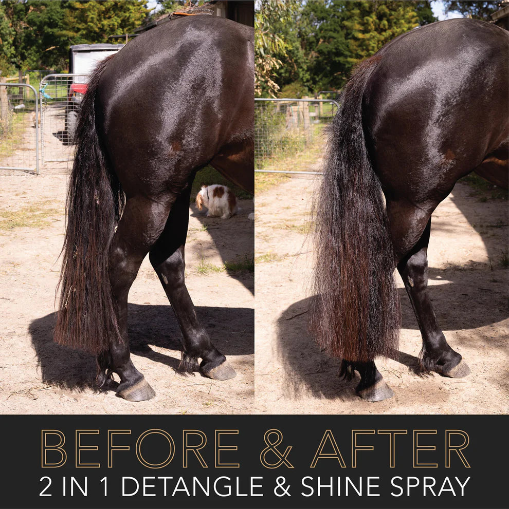 Hairy Pony 2 in 1 Detangle & Spray Original