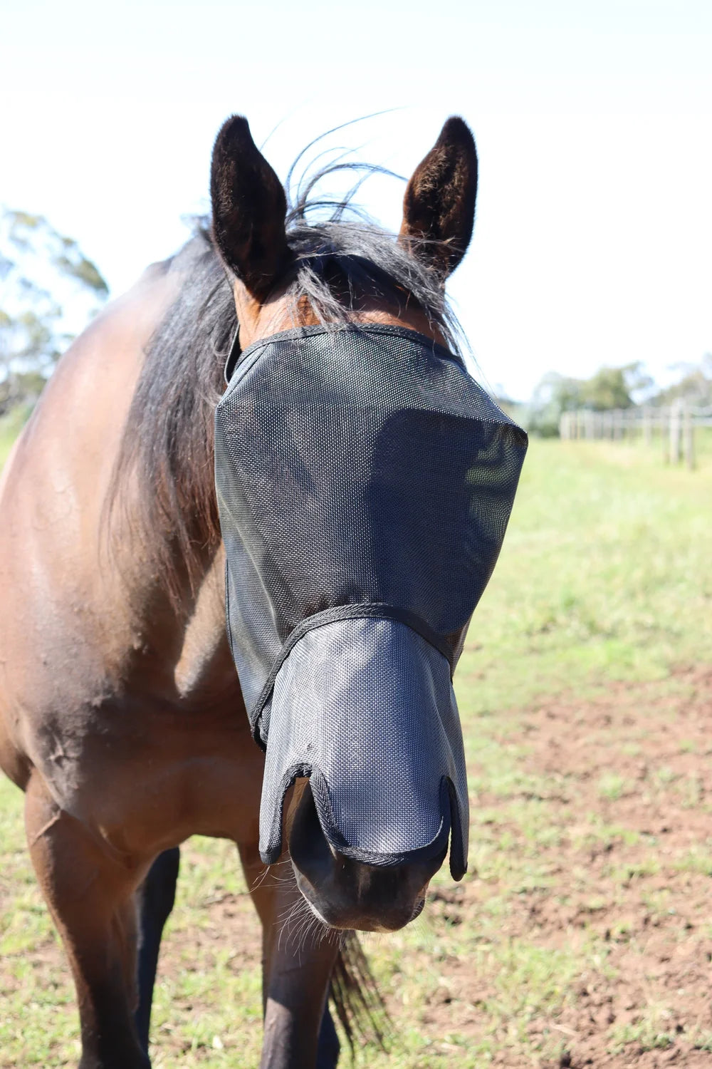 Flyveil by Design 100% UV Blockout Shaped Nose Australian Made
