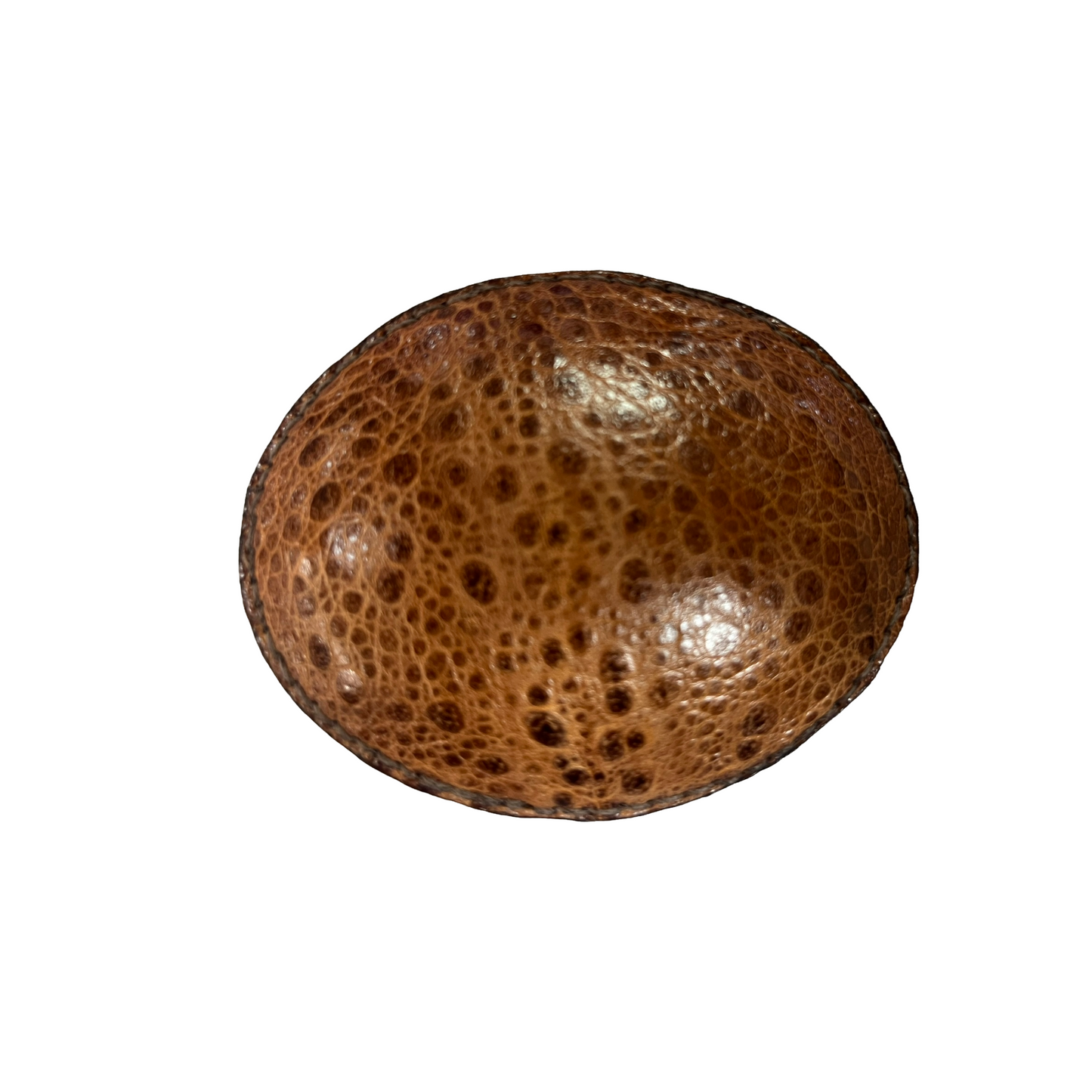 Buckle Exoctic Skin Cane Toad
