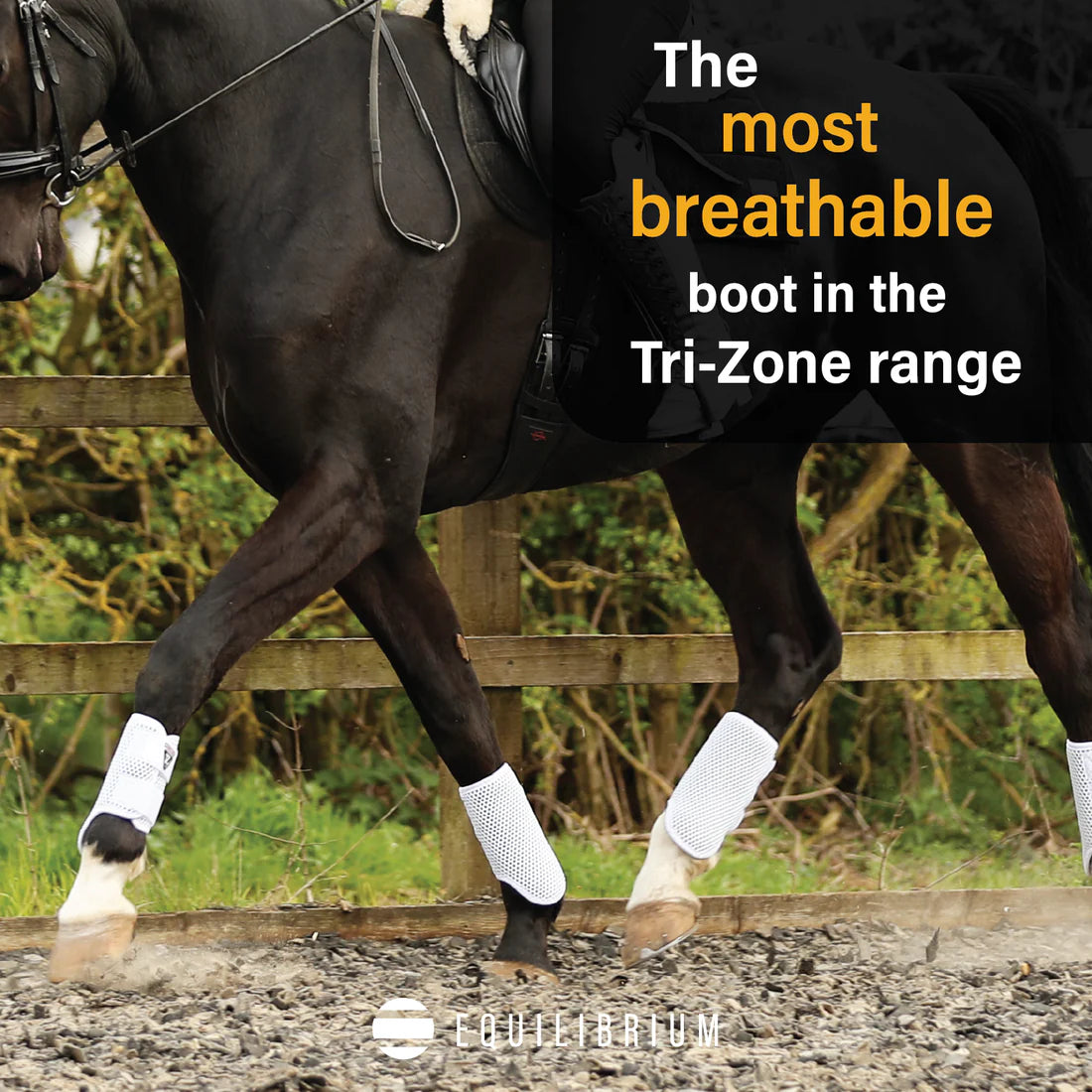 Tri-Zone Fetlock Boots White