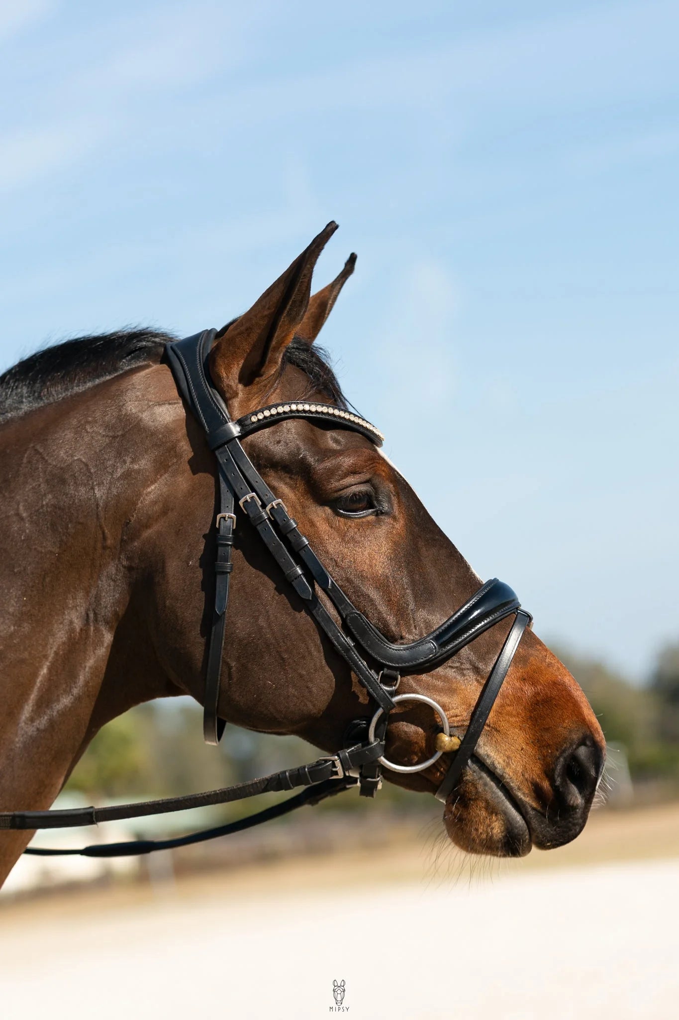 Hidden Flash Pro Fit Bridle Patent Noseband & Crystal Browband  Black