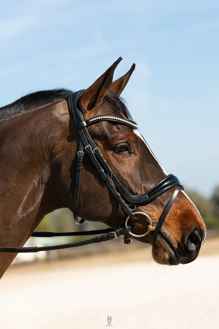 Hidden Flash Pro Fit Bridle Patent Noseband & Crystal Browband  Black