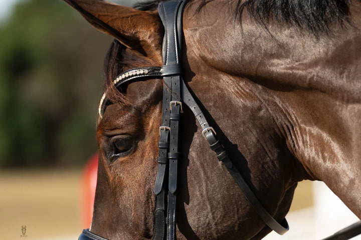 Hidden Flash Pro Fit Bridle Patent Noseband & Crystal Browband  Black