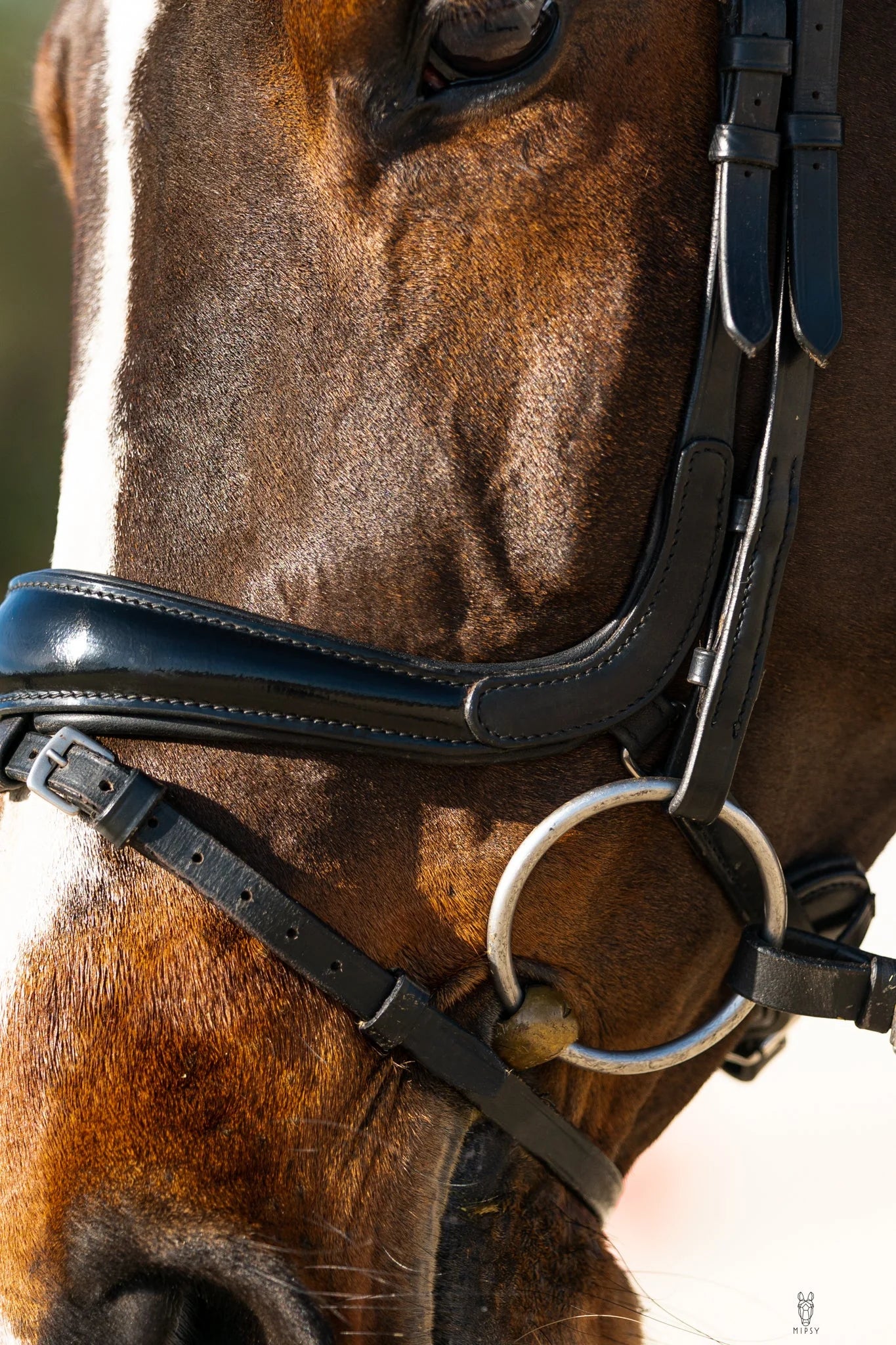 Hidden Flash Pro Fit Bridle Patent Noseband & Crystal Browband  Black