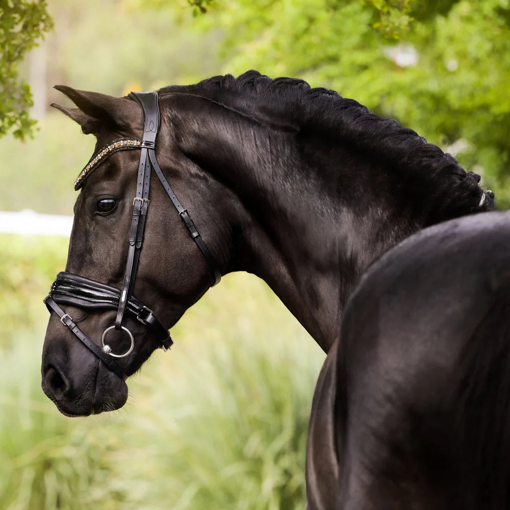 Lumiere Ariana Hannovrian Bridle