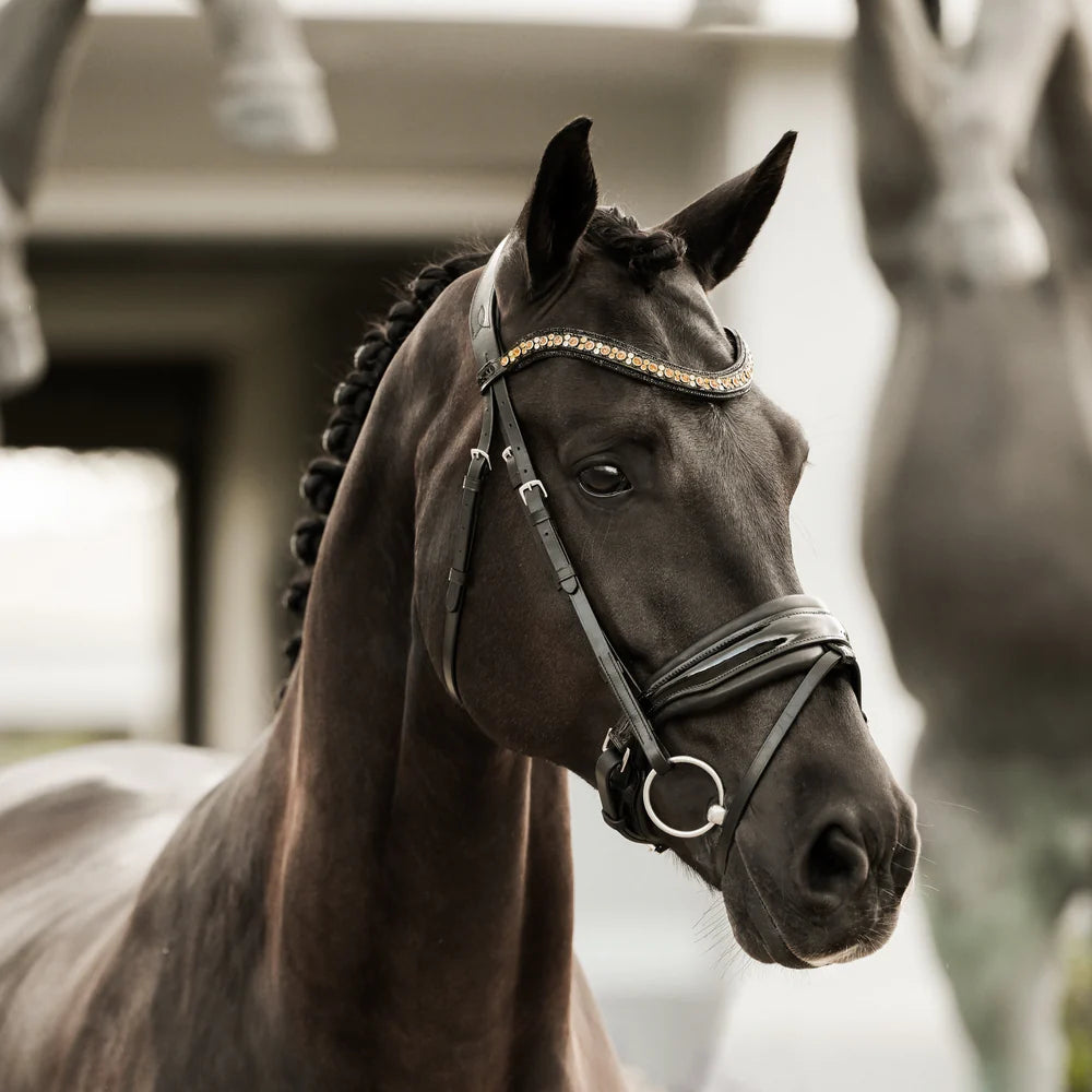 Lumiere Ariana Hannovrian Bridle
