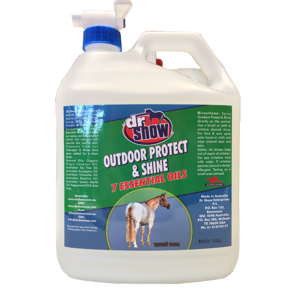 Dr Show Outdoor Protect & Shine 4 Litres