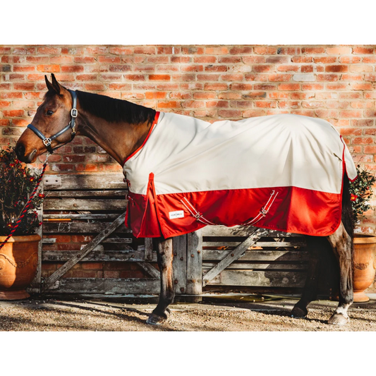 Eureka Synthetic Summer Rug Beige & Red