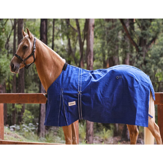 Eureka Unlined Blue Canvas Rug