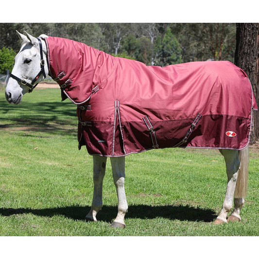 Explorer 200 Combo Burgundy & Silver