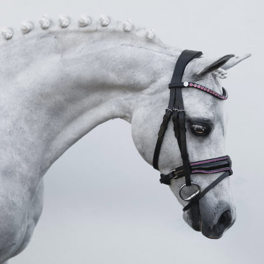 Lumiere Fairyfloss Bridle