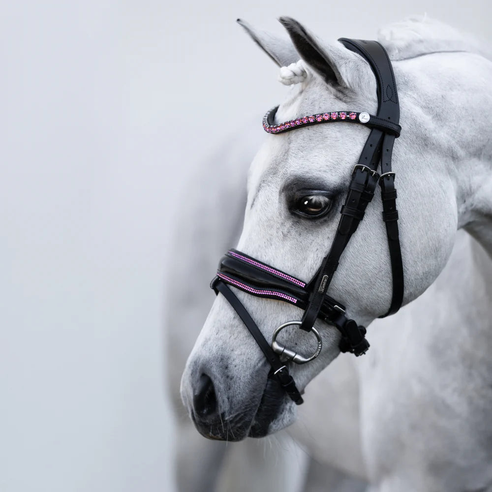 Lumiere Fairyfloss Bridle