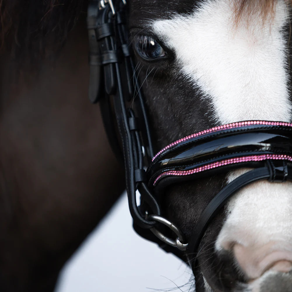 Lumiere Fairyfloss Bridle