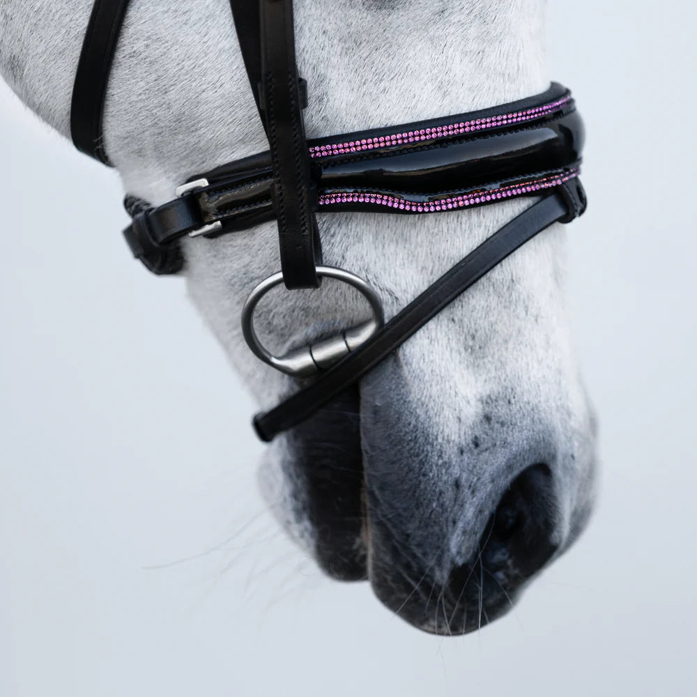 Lumiere Fairyfloss Bridle