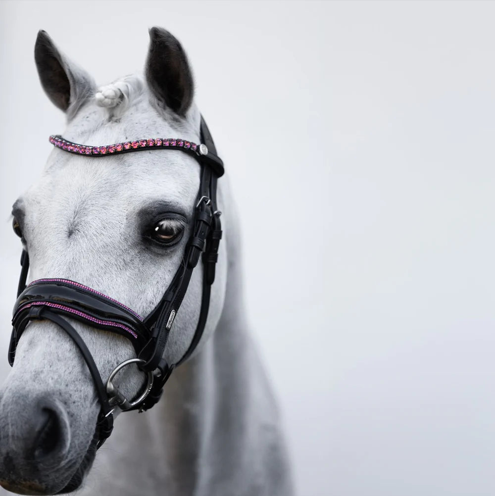 Lumiere Fairyfloss Bridle