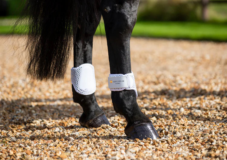 Tri-Zone Fetlock Boots White