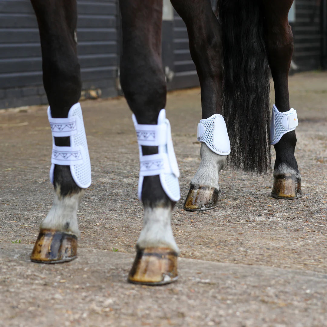 Tri-Zone Fetlock Boots White