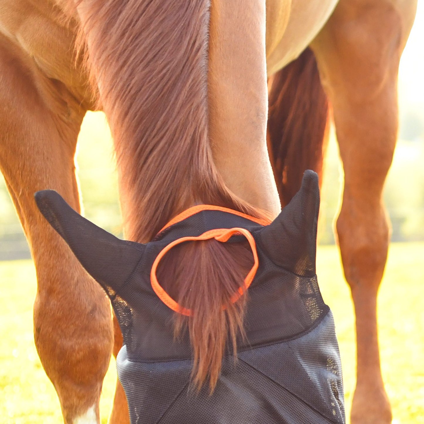 Equilibrium Fly Mask Midi with Ears Black
