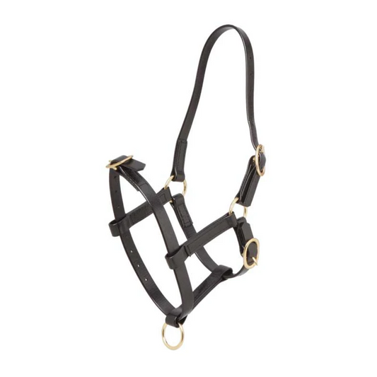 Foal Halter PVC 19mm with Brass
