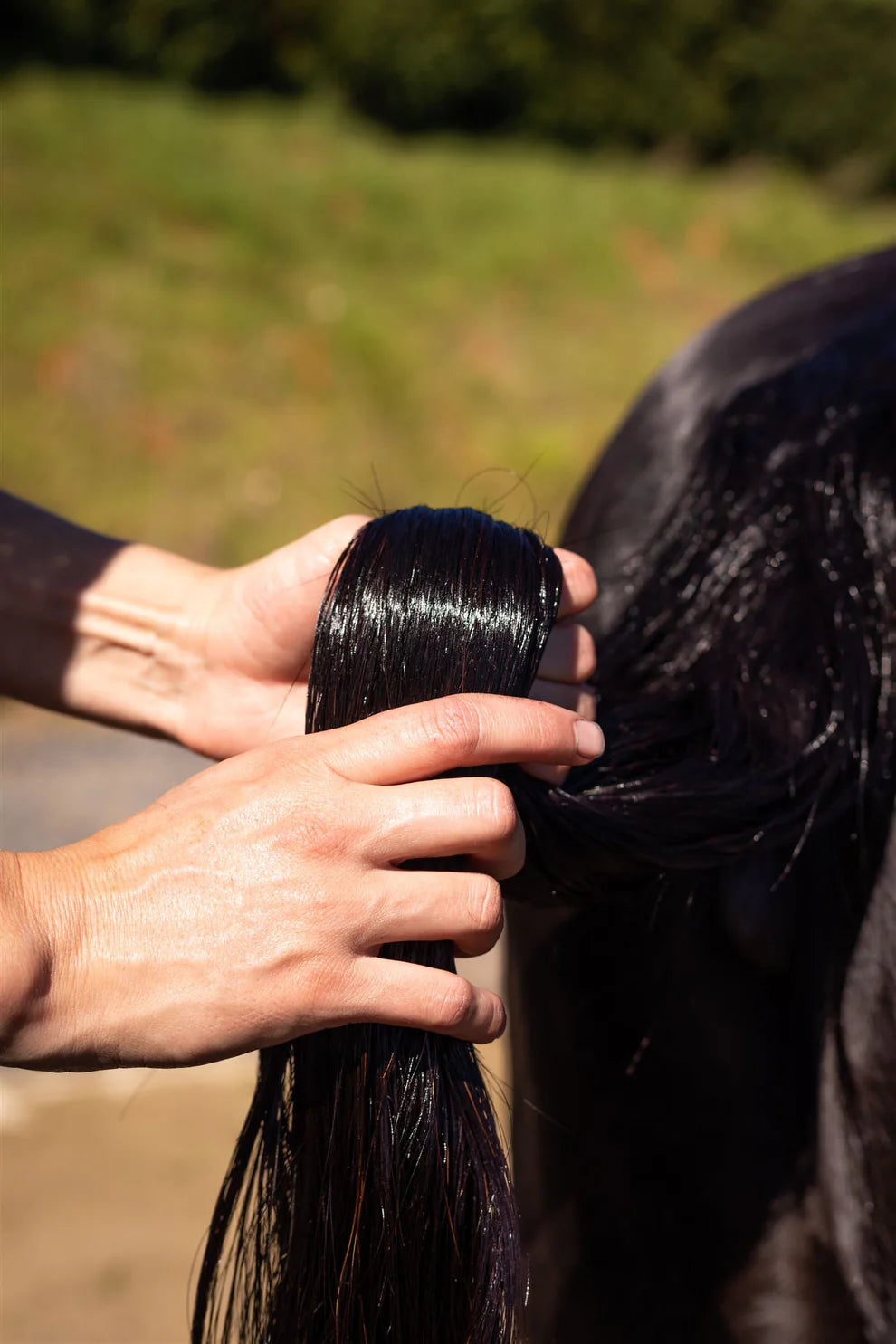 Hairy Pony Hair Repair Rasbery & Sweet Pomegranate