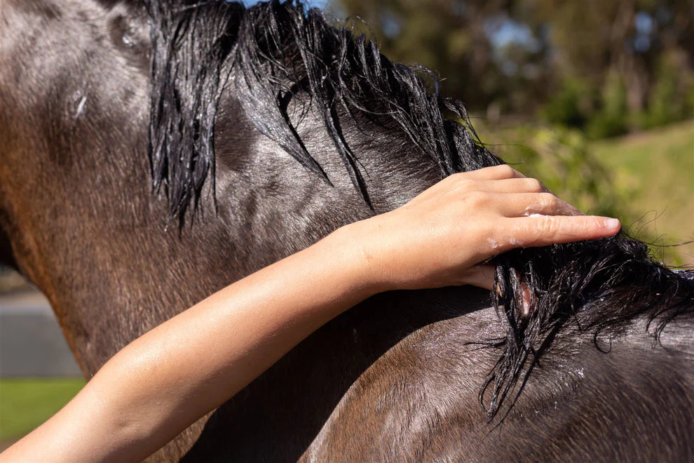 Hairy Pony Hair Repair Rasbery & Sweet Pomegranate