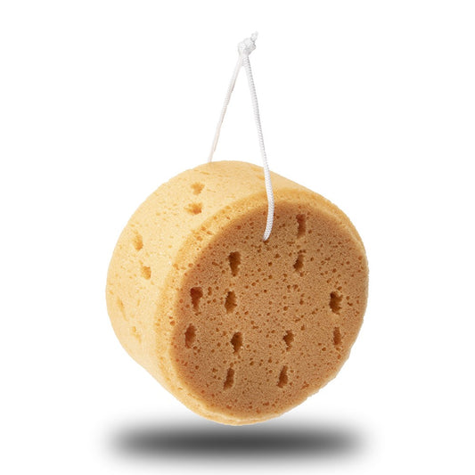Wash Sponge on a Rope
