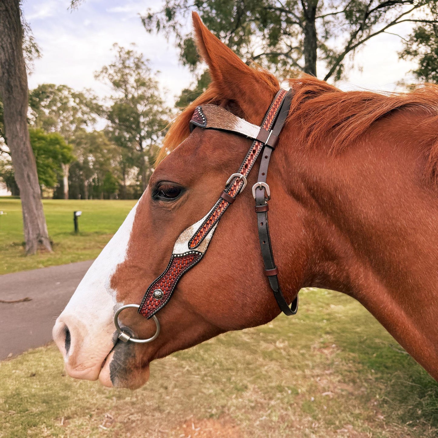 Ezy Ride Bridle Wave Brow Cowhide & Basket Weave