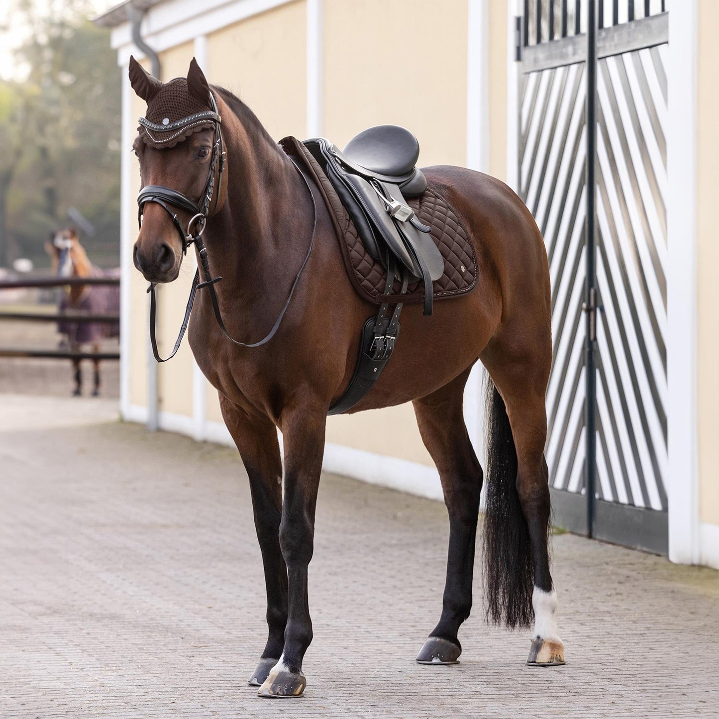 Waldhausen Dressage Saddle Pad Nepal Brown