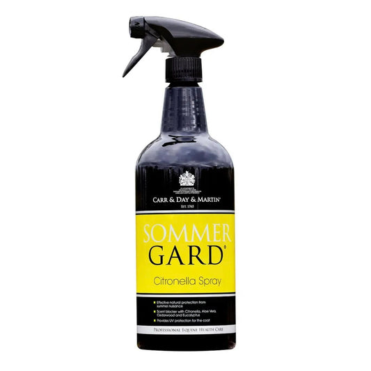 Carr Day & Martin Sommergard