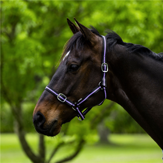Eureka Essential Halter Black & Lavender
