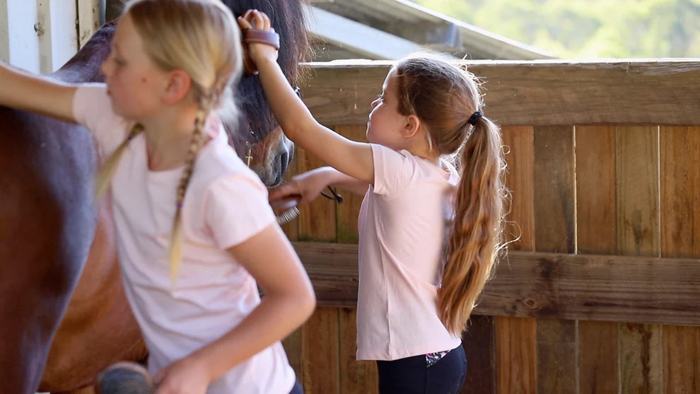 Hairy Pony Kids Brush Kit