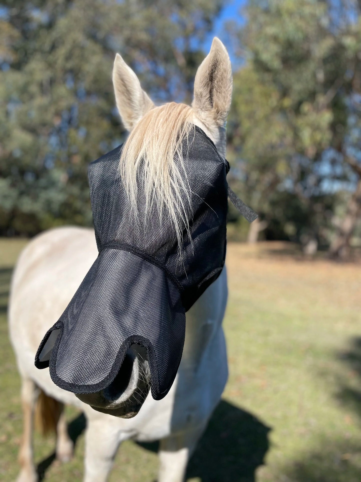 Flyveil by Design 100% UV Blockout Shaped Nose Australian Made
