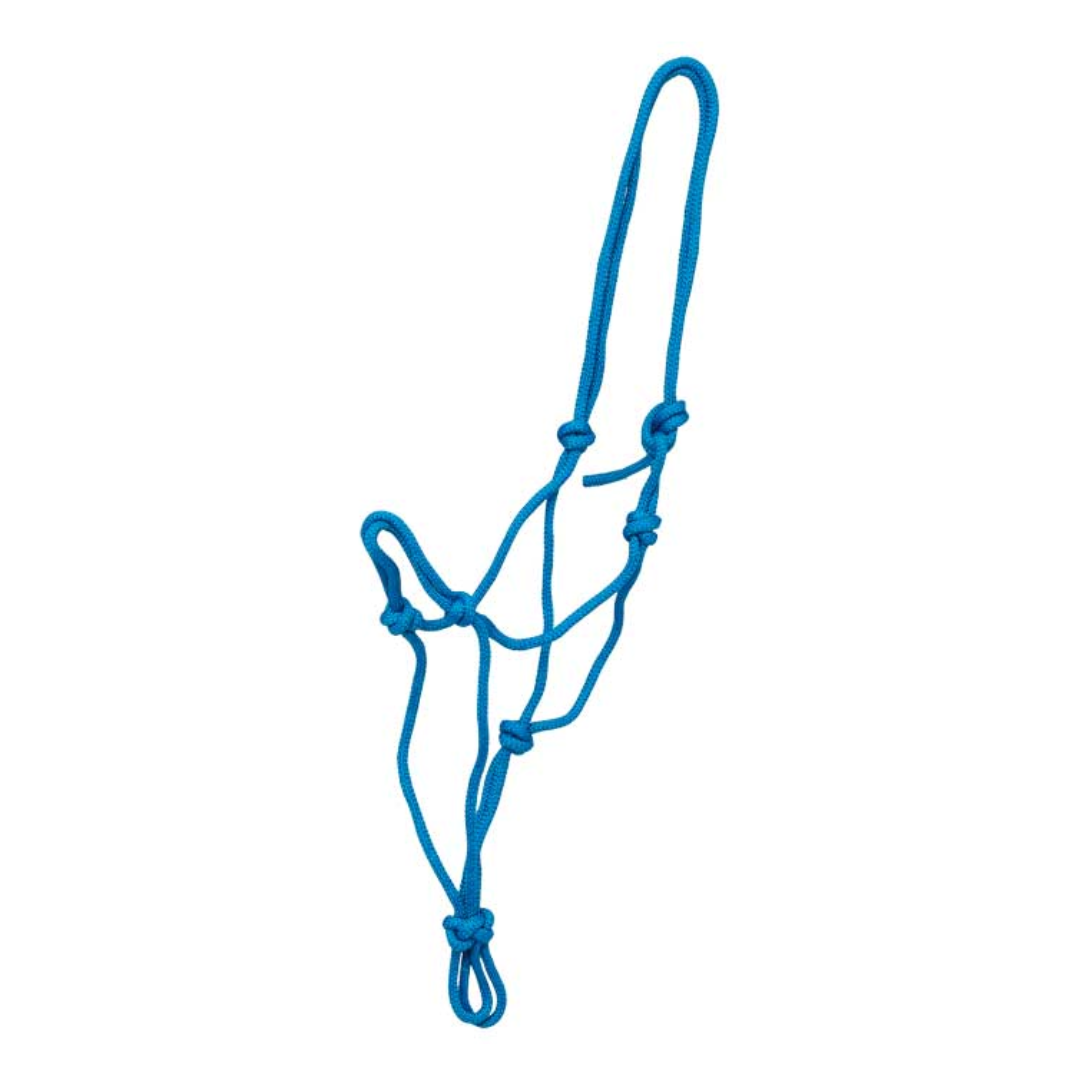 Knotted Rope Economy Halter Blue