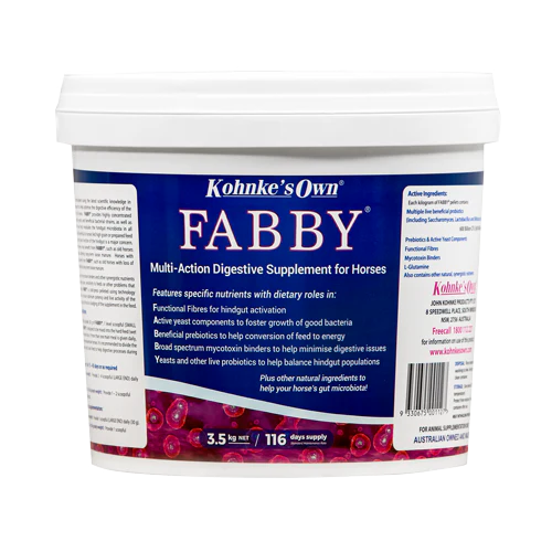 Kohnkes Fabby