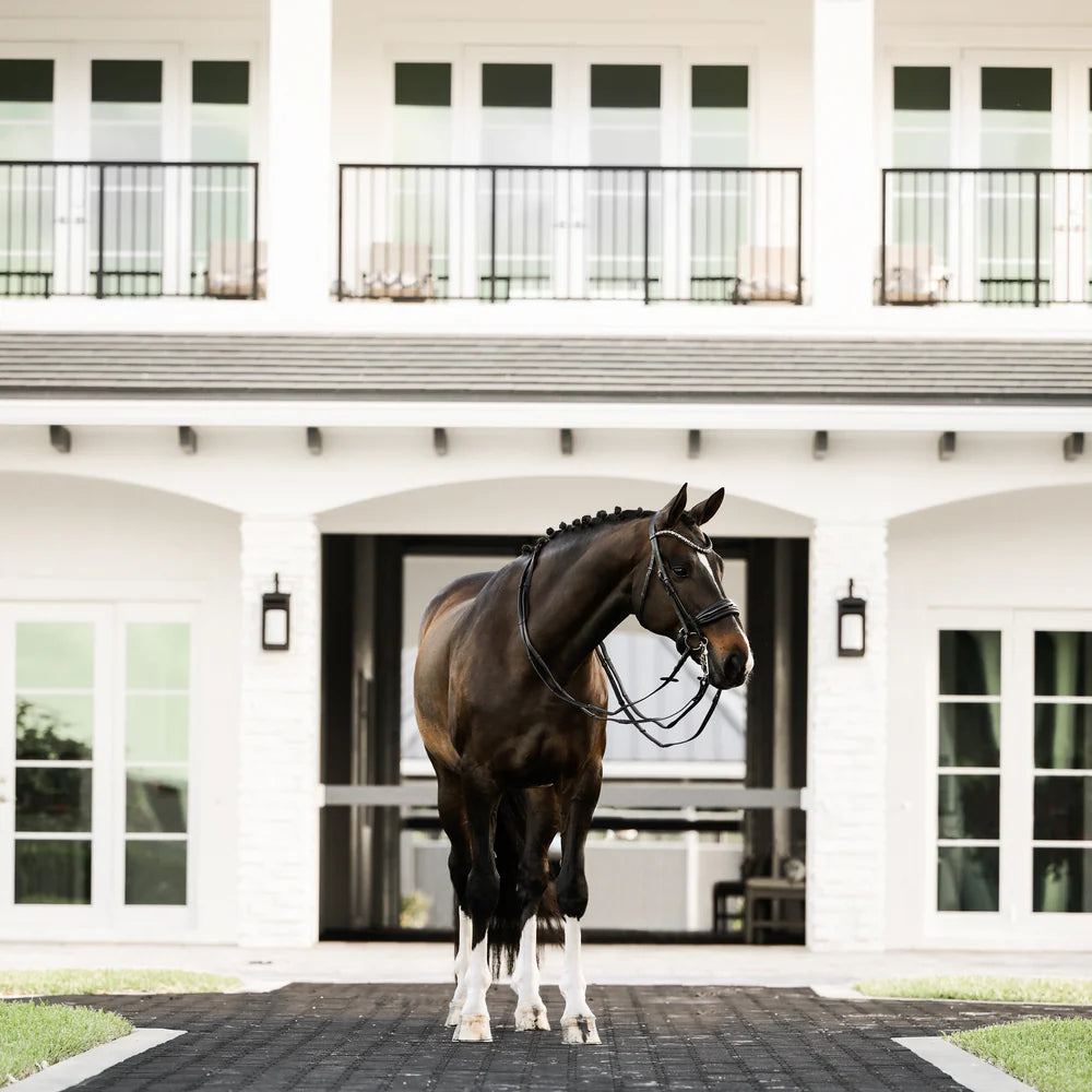 Lumiere Ariana Double Bridle