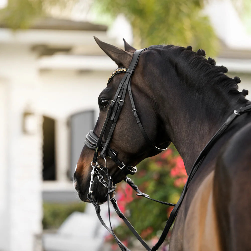 Lumiere Ariana Double Bridle