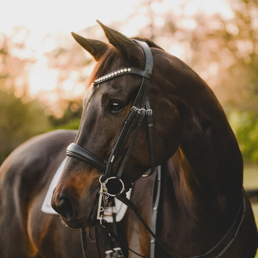 Lumiere Athens Luxury Double Leather Bridle