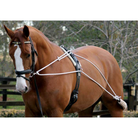 Lunge Training System