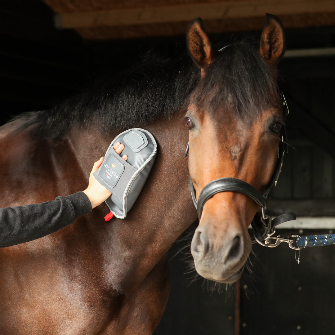 Equilibrium Massage Mitt Hotspot