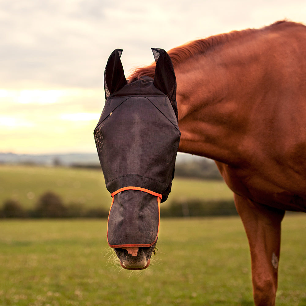 Equilibrium Fly Mask Max Black
