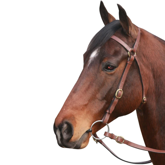 McAlister Barcoo Bridle Brown
