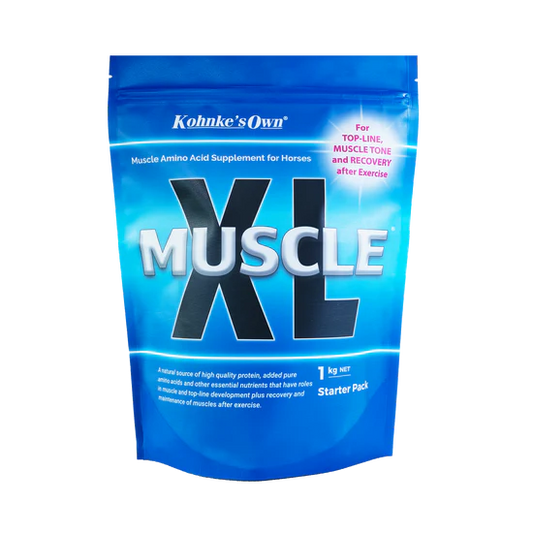 Kohnke Muscle XL