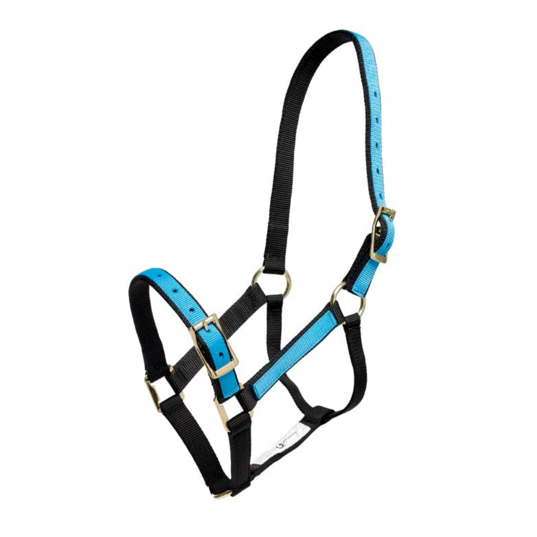Overlay Headstall Black & Blue