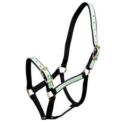Overlay Headstall Black & Mint