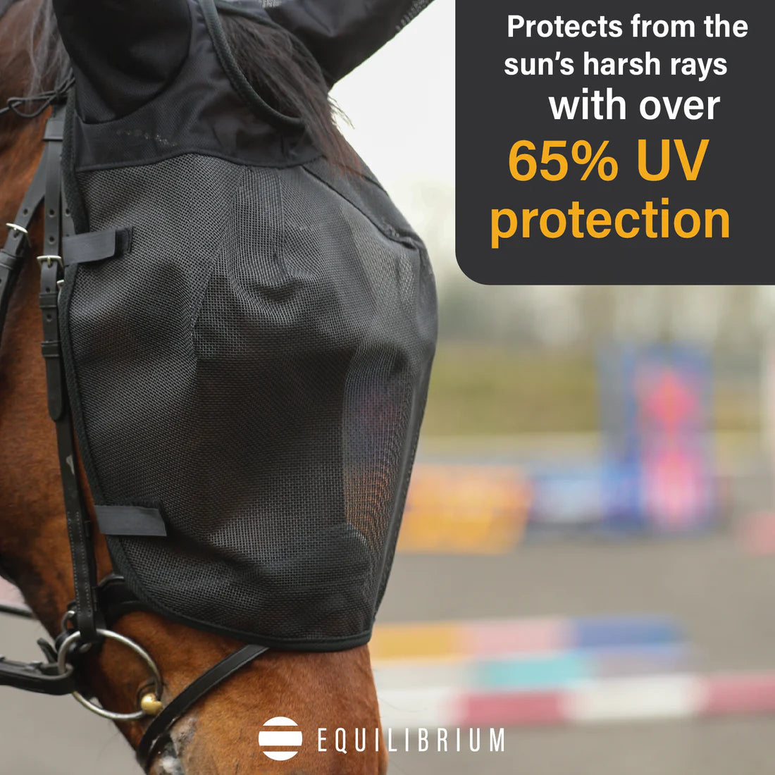 Equilibrium Net Relief Riding Mask