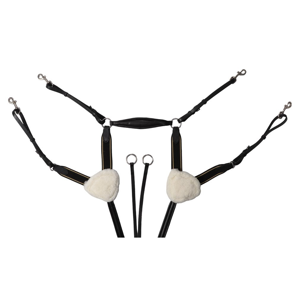 Jeremy and Lord Five Point Breastplate