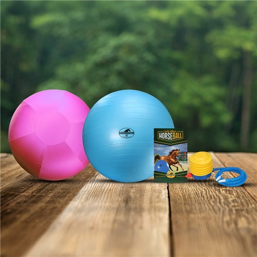 Mega Horse Ball & Cover Set